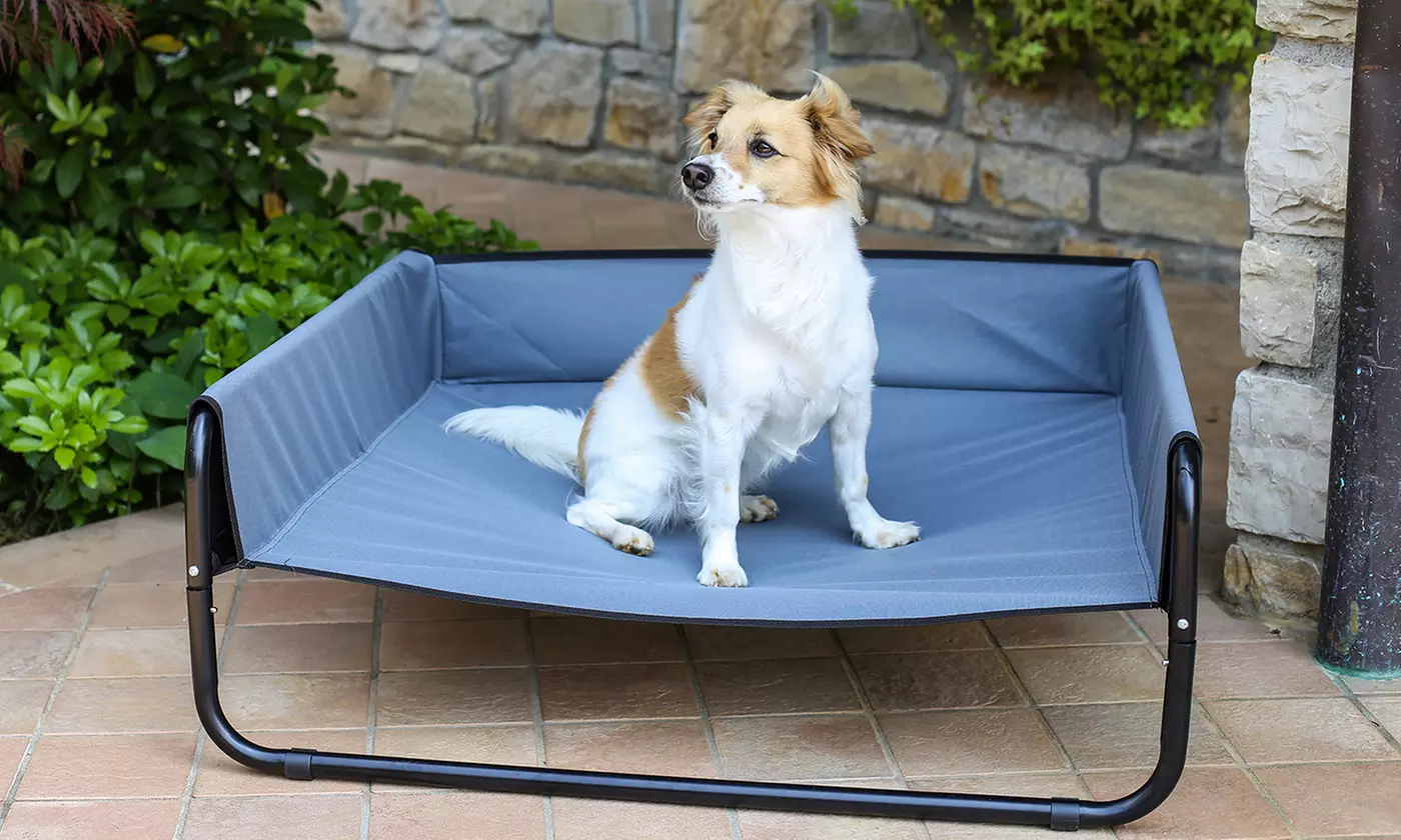 Cama mascotas elevada - Primary Image