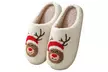 Cute Christmas Slippers for Women Warm Plush House Shoes - Second Medium