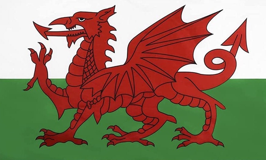 Image 7: Red Dragon Wales World Cup Banner 5m or 12m