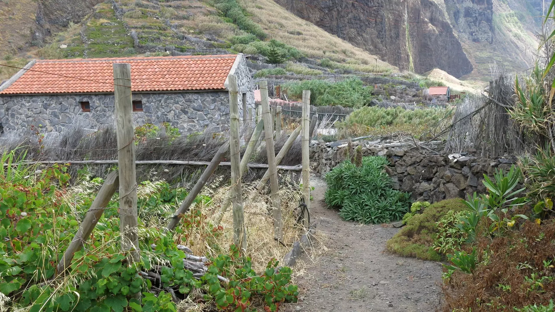 ✈ 6-Day Madeira: Explore Portugal's Garden Island with Flights and Car