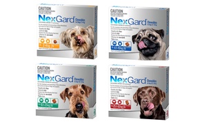 NexGard Flea and Tick Protection