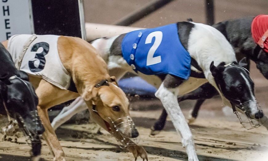 Image 1: Greyhound Race Package with Meal