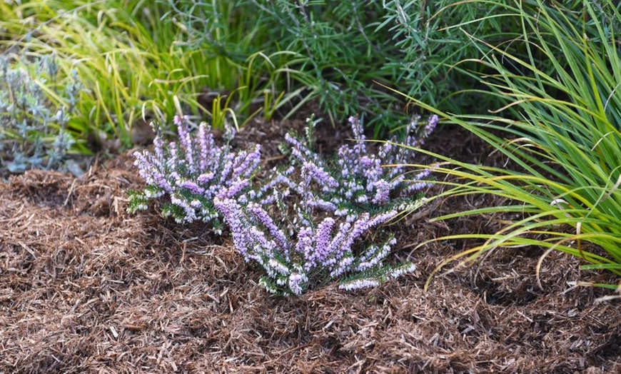 Image 2: One or Two Garden Mulch Collections