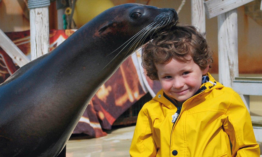 Image 4: Boudewijn Seapark : parc d'attractions en famille