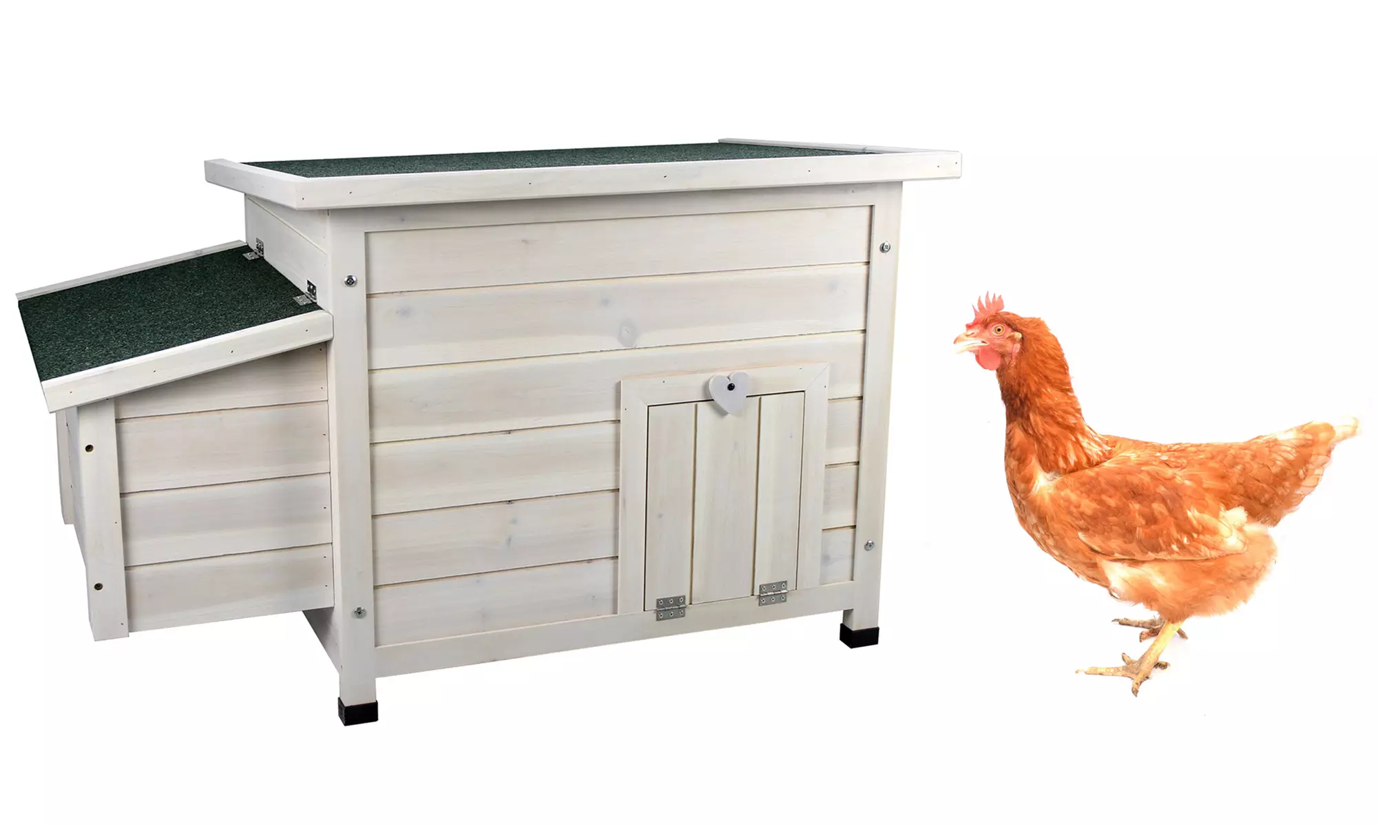 Poulaillers en bois traité RIGA - Primary Image