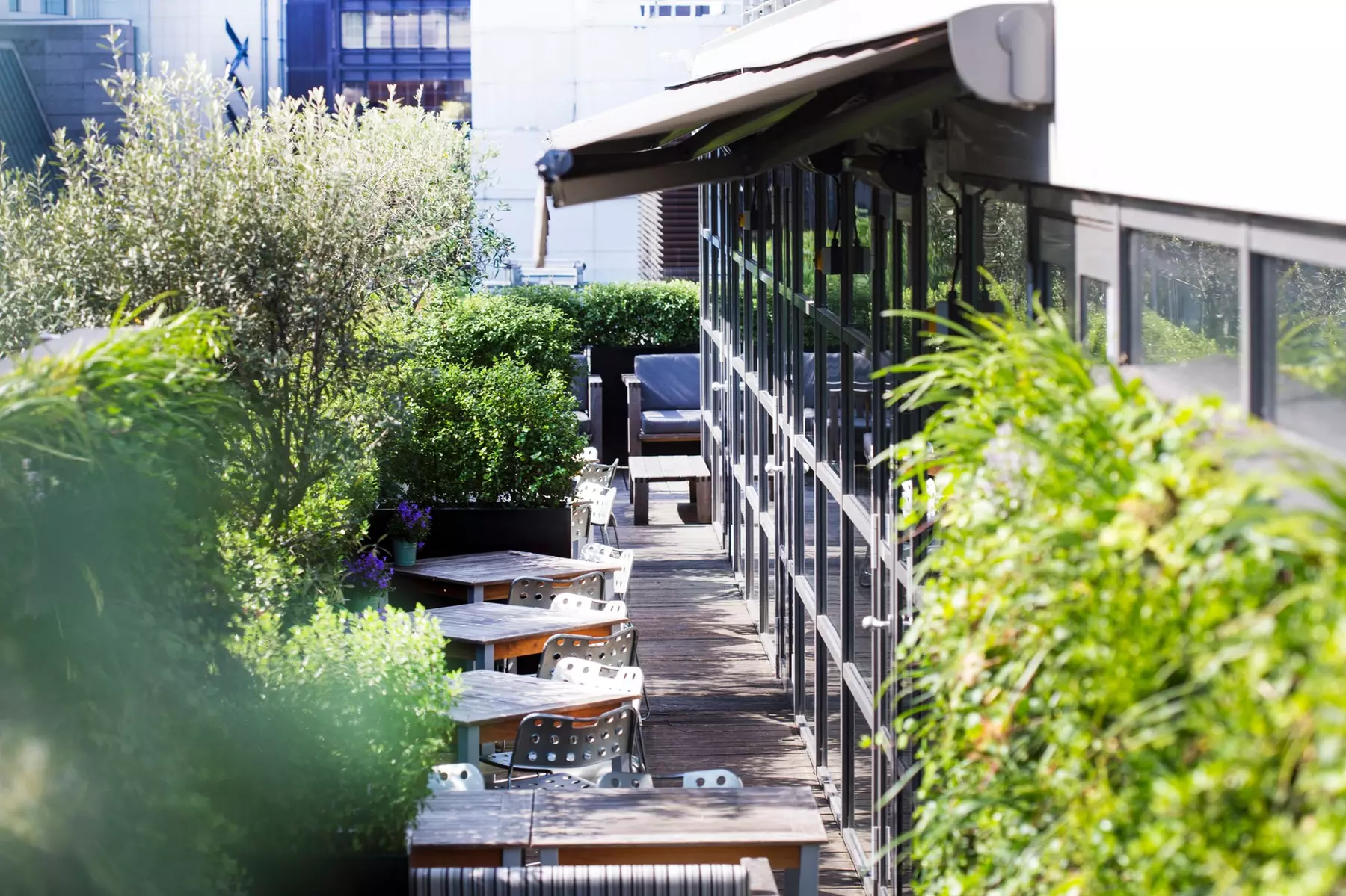 Enjoy a Seven Course Tasting Menu with Optional Champagne