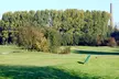 Golf-Schnupperkurs inkl. Leihschläger & Bälle für 1 - 2 Personen im POTTGOLF Gelsenkirchen (bis zu 50% sparen) - Second Medium