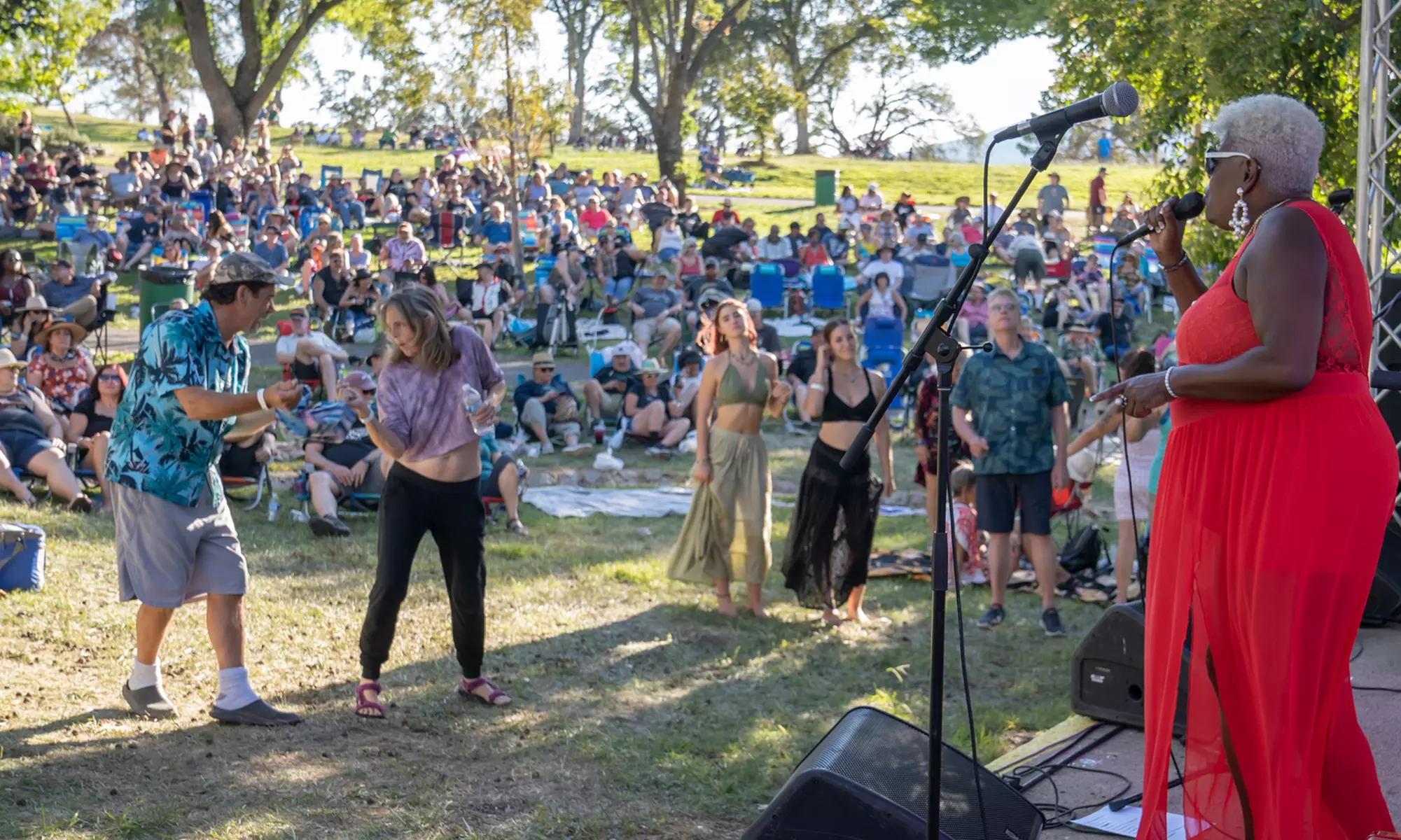 13th Annual Blues and Bones Festival on September 28  - Primary Image