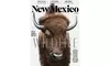 New Mexico Magazine Subscription (57% Off)