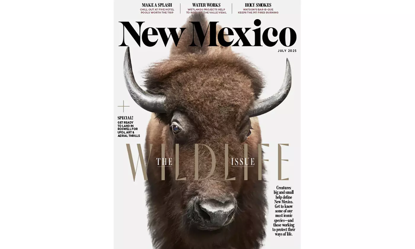 New Mexico Magazine Subscription (57% Off) - Primary Image