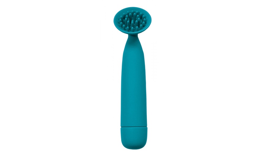 Image 12: Pasante Vibrators 