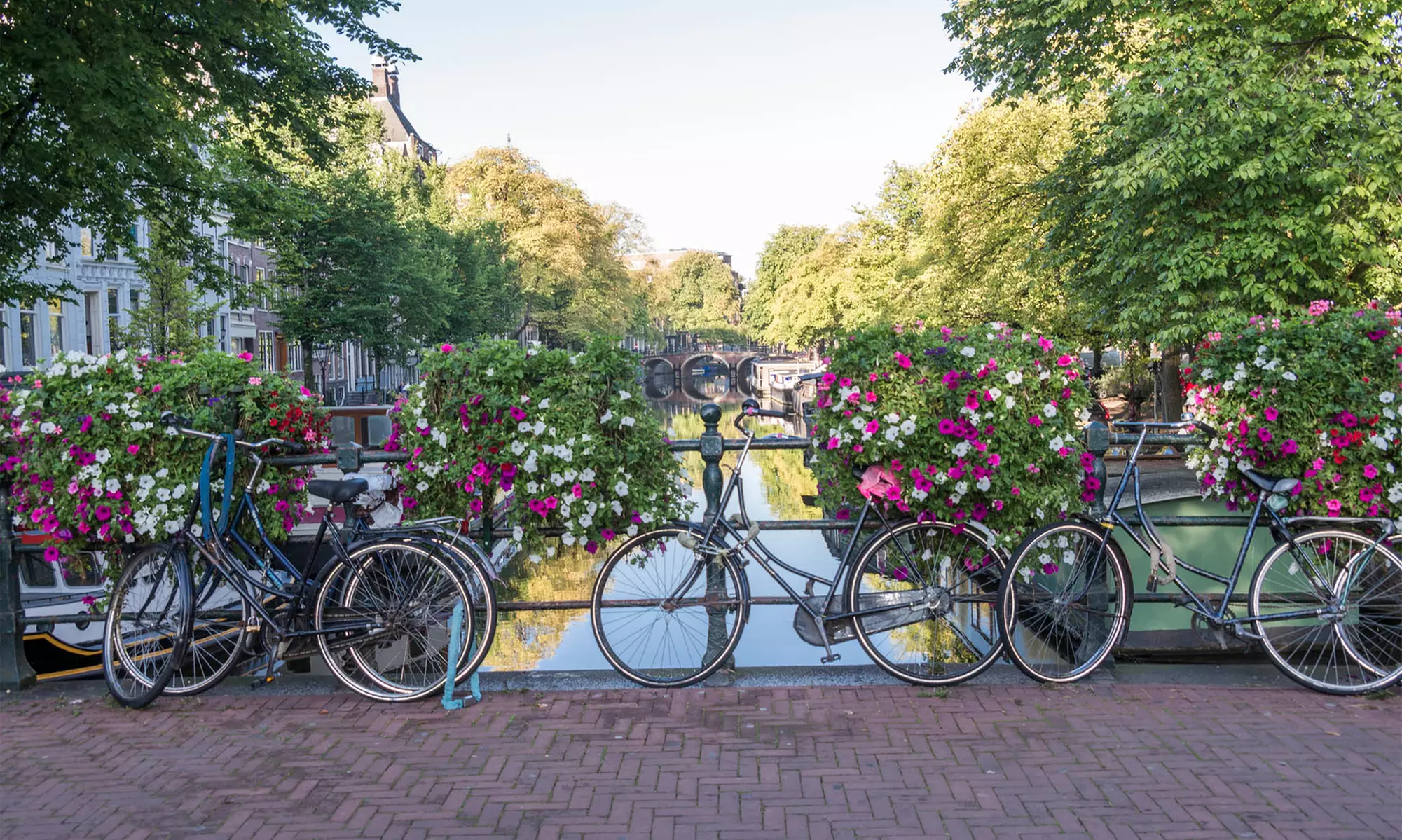 Up to 20% Off on Bike Tour at Rental Bike NYC - Primary Image