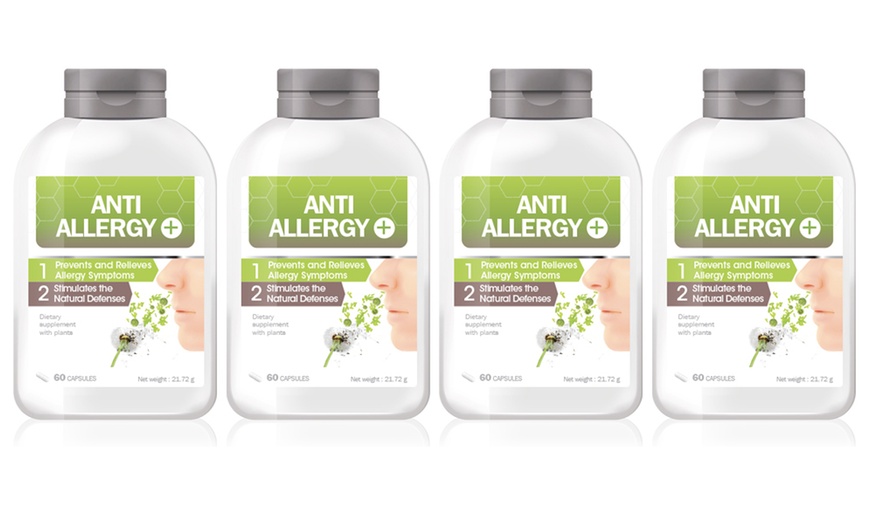 Image 3: Anti-Allergy Capsules Supply