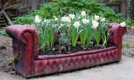 Kit piante aromatiche o da orto o composizione floreale con Fioreria Il Giglio. Consegna a domicilio gratuita