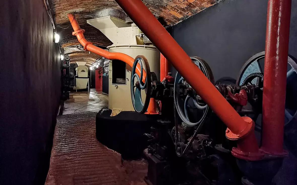 Visita a bodega más cata en Besalduch Valls And Bellmunt