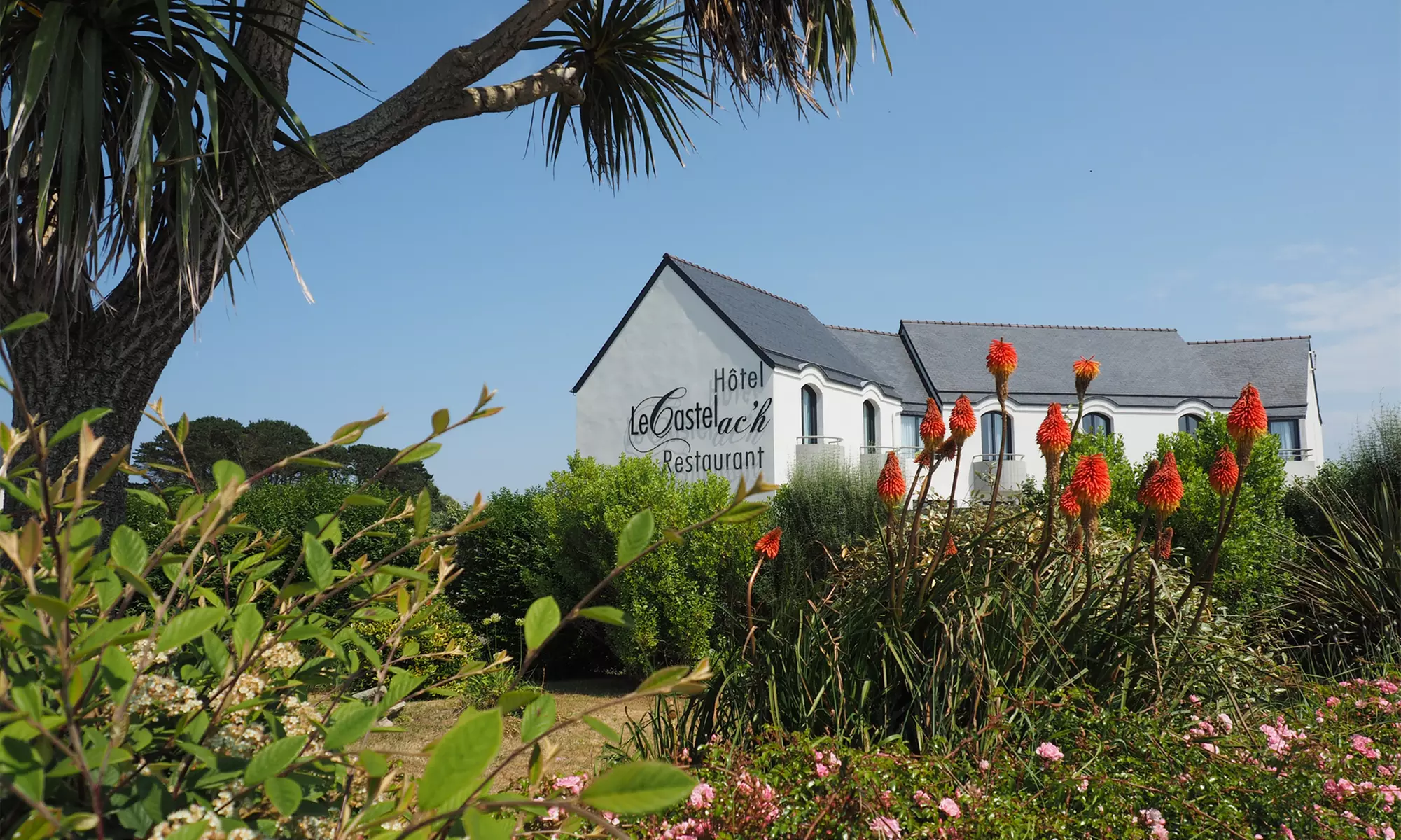 Plouguerneau : chambre double vue mer avec petit-déjeuner en option