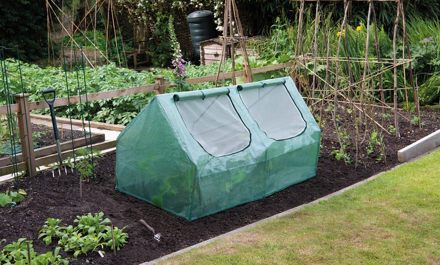 Image 2: Garden Cloche