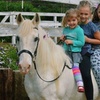 Image 6: Private Horseback Riding Lessons with Personalized Instruction