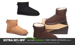 Suede UGG Ankle Boots 