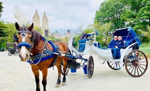 Celebrate Love With a Horse-Drawn Carriage Ride in Central Park!