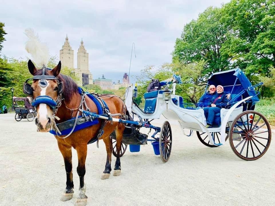 Up to 12% Off on Horse Drawn Carriage Ride at VIP Central Park Tours