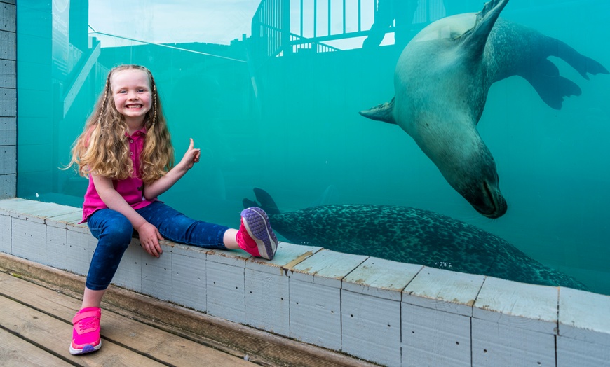 Image 4: SEA LIFE Hunstanton Entry