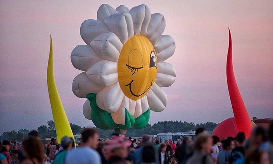 Image 5: International Balloon Festival