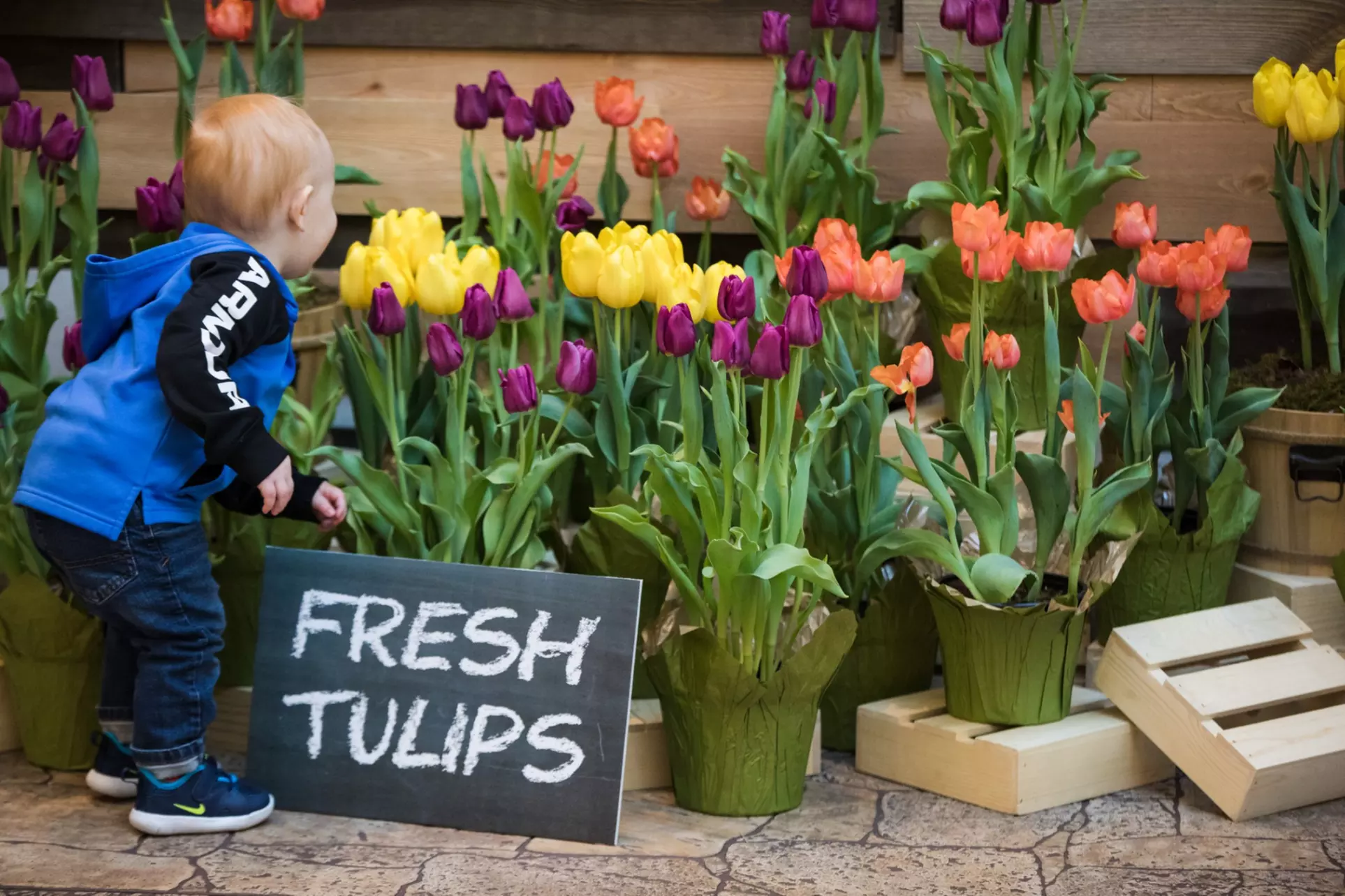 One or Two Single-Day Admission Tickets to Fairgrounds Southern Ideal Home Show (Up to 50% Off) - Second Medium