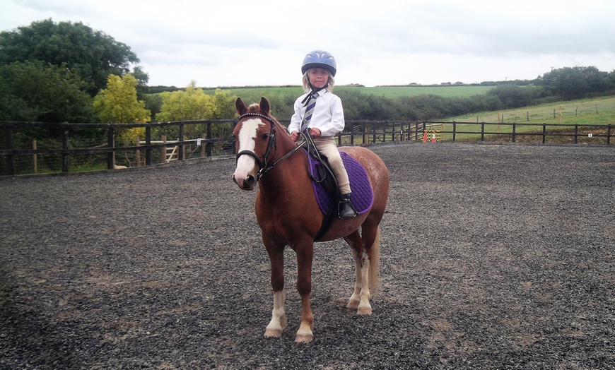 Image 3: Private Horse Riding Lesson