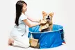 Coco Jojo Pop Up Pet Dog Bath and Pool - Second Medium