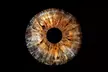 Eye Photo Session with Choice of Print at Iris Shot (Up to 81% Off), Eleven Locations - Image 7