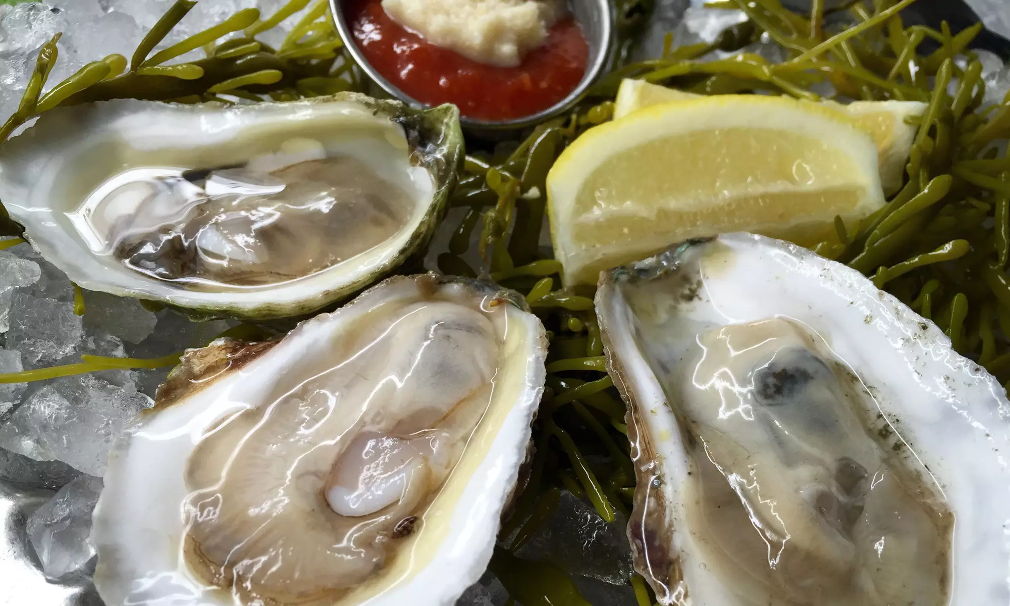 Chef's Pick Oysters and Champagne for 2 at London Lennie's (41% Off).  - Primary Image