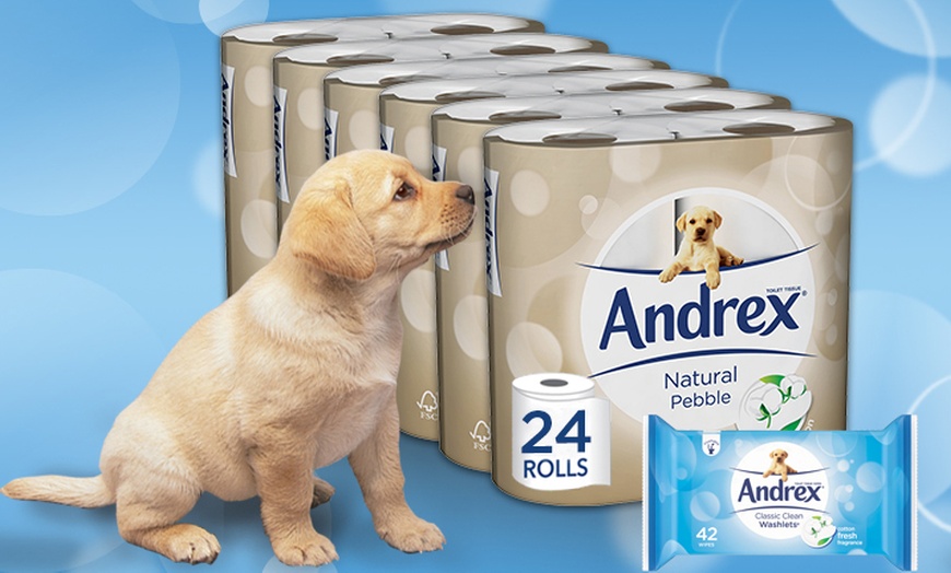 Image 6: Andrex Toilet Paper