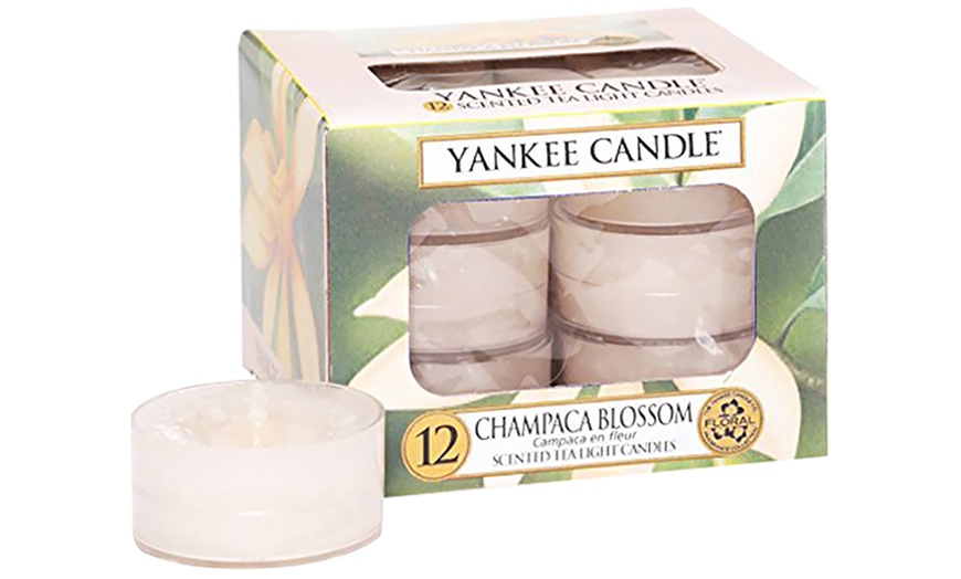 Image 10: Yankee Tea Light Candles