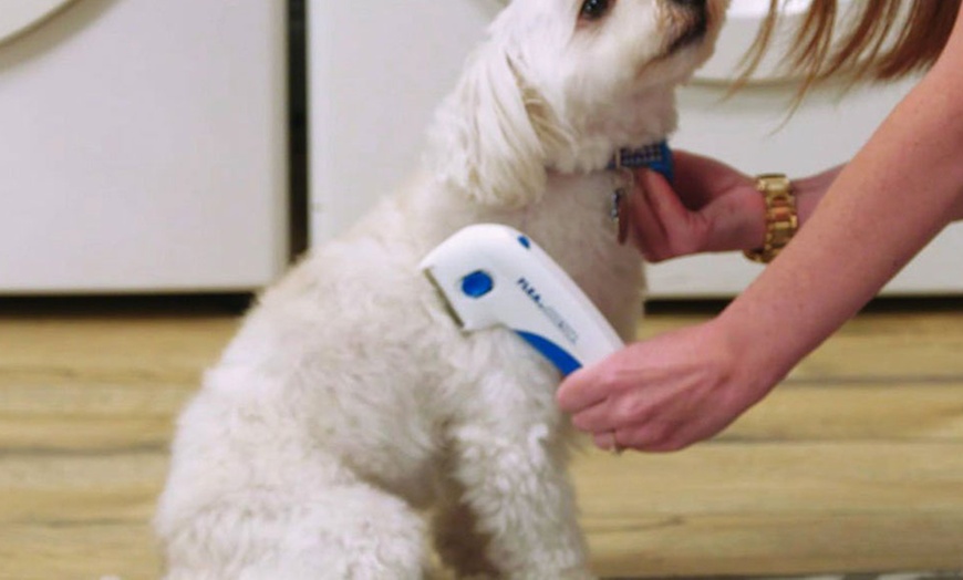 Image 3: Electric Flea Comb for Pets