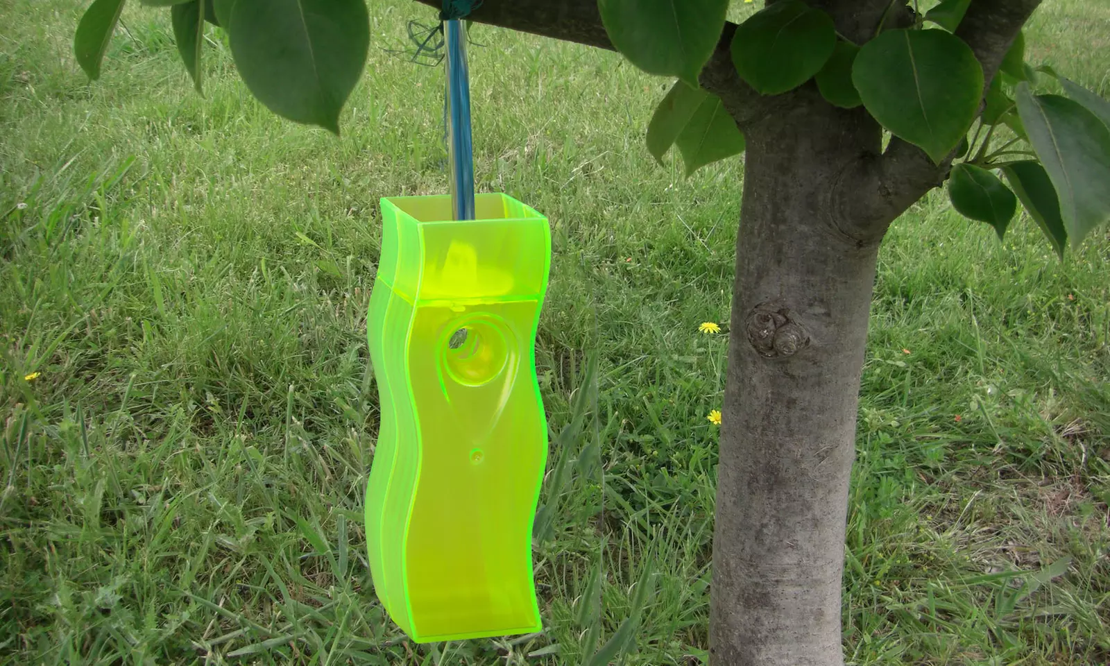 Raid Wasp Traps (2-Pack) - Primary Image