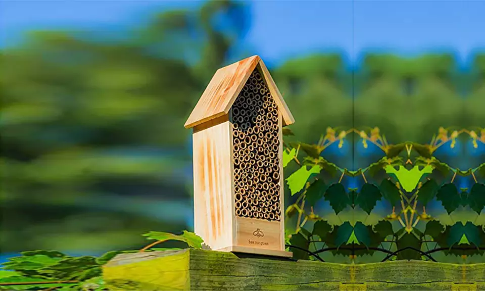 Wooden Bee Habitat Houses. Multiple Styles Available. - Primary Image