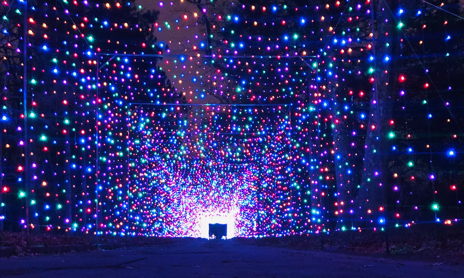 Drive-Thru Holiday Lights Show Admission at Celebration of Lights (Up to 20% Off) - Primary Image