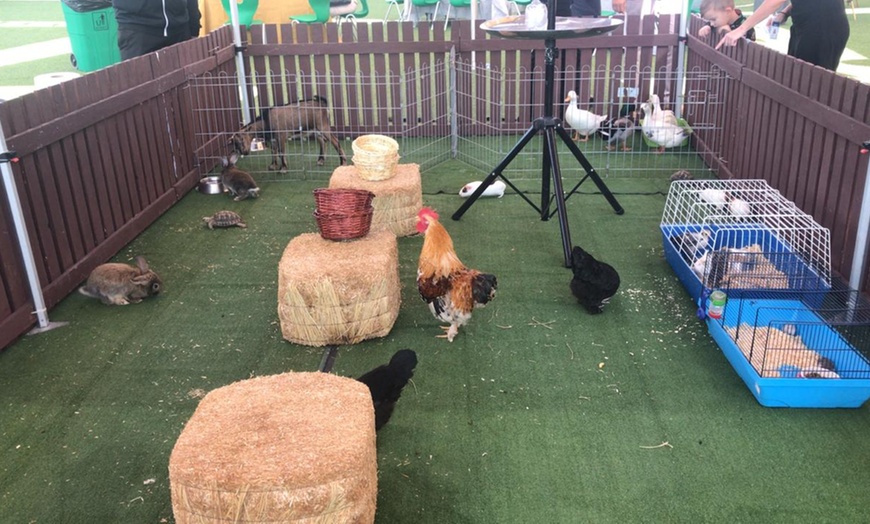 Image 8: Pet Boarding at PoshPaws Kennels and Cattery