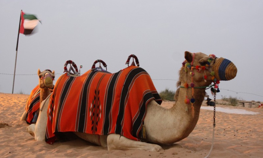 Image 5: Explore the Dubai Desert Safari Adventure for Upto Four People