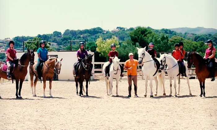 Aprende a montar a caballo: 6 clases de hípica para 1 o 2 personas