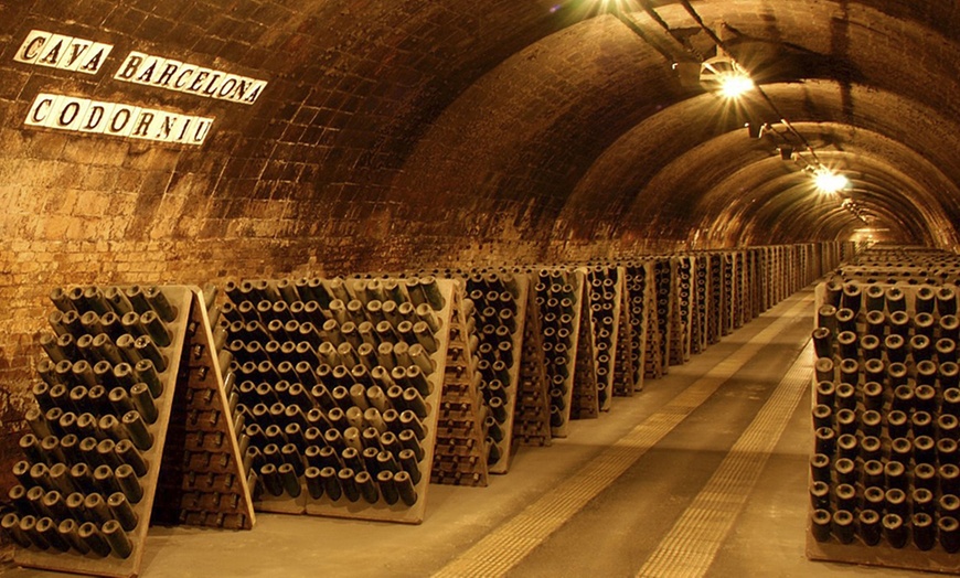 Image 7: Entrada Bodegas Codorniu