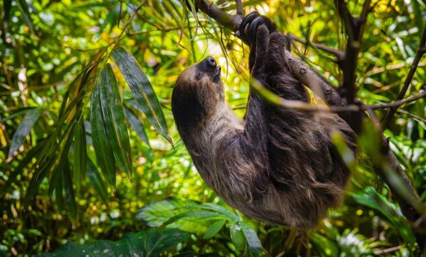 Image 4: The Green Planet Dubai Tickets – Indoor Rainforest Experience
