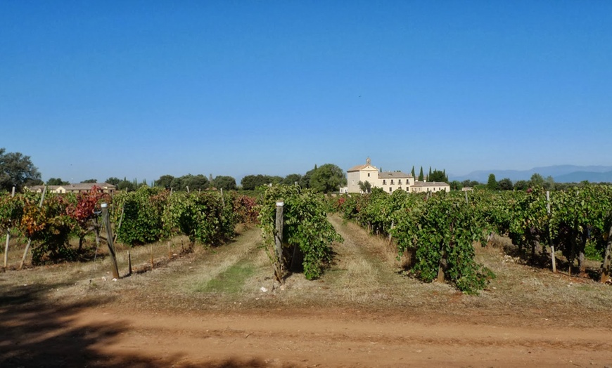 Image 5: Vino tinto Marqués de Griñón