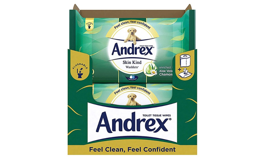 Image 19: Andrex Flushable Wipes
