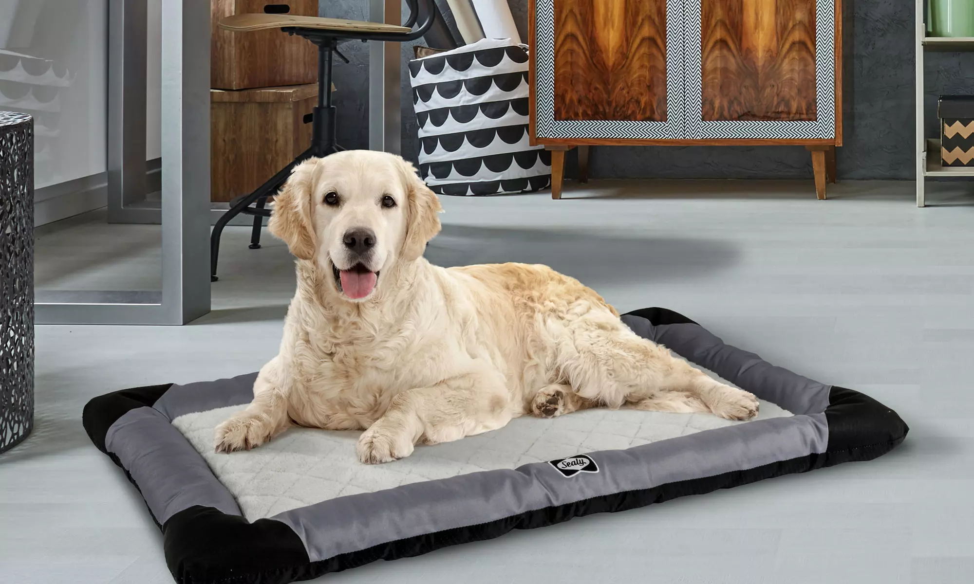 Sealy Orthopedic Tough Chew Dog Bed or Crate Mat - Primary Image
