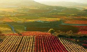 La Rioja: 1, 2 o 3 noches en habitación doble