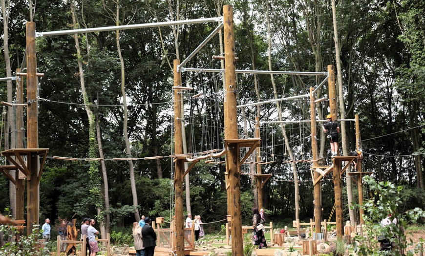 Image 7: Up to 40% Off on High Rope Course at Iron Pit Woods Adventure