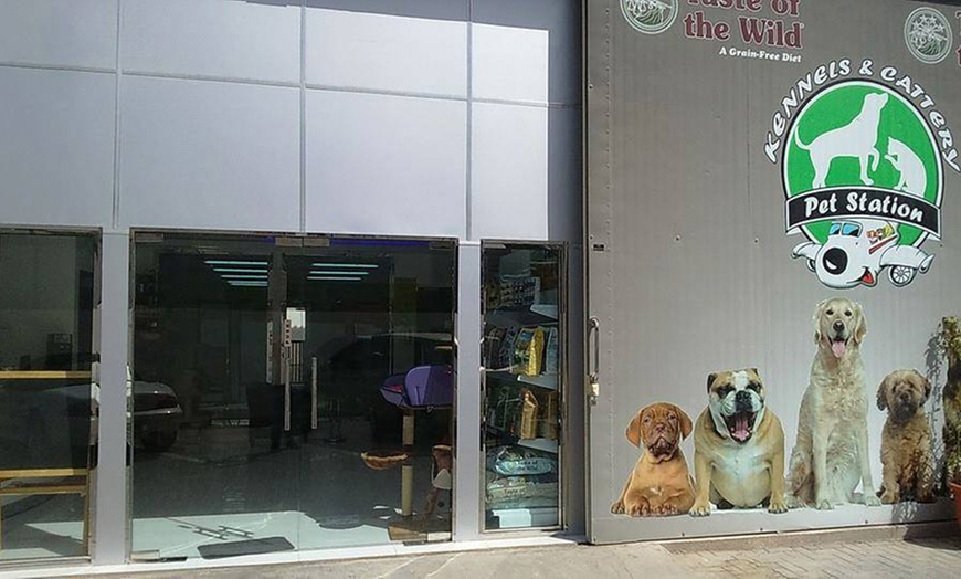 Image 2: Pet Grooming Service