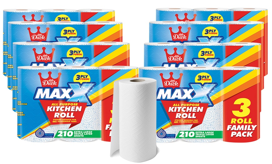 Image 16: Cusheen Mega Rolls Toilet Paper